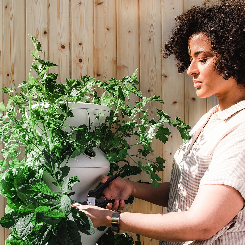 Gardening